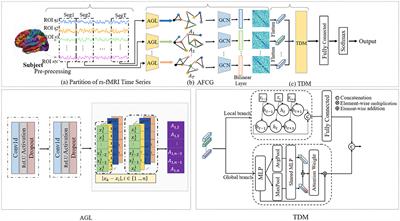 Adaptive spatial-temporal neural network for ADHD identification using functional fMRI